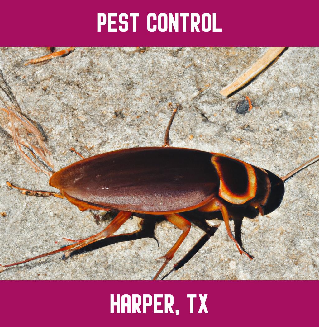 pest control in Harper Texas