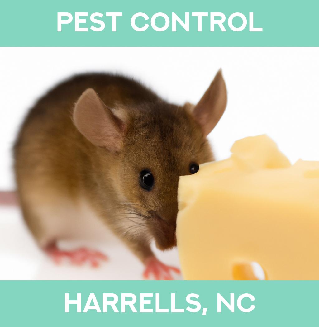 pest control in Harrells North Carolina