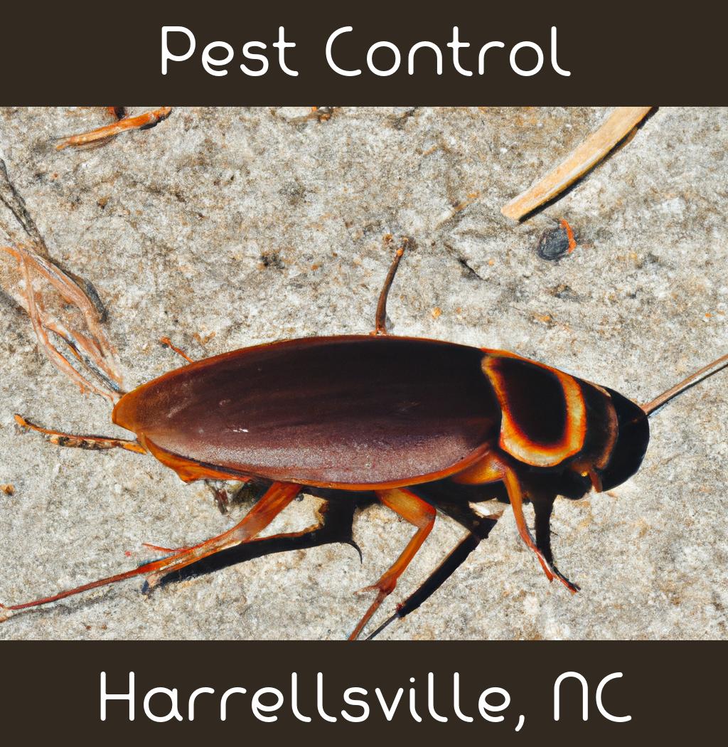 pest control in Harrellsville North Carolina