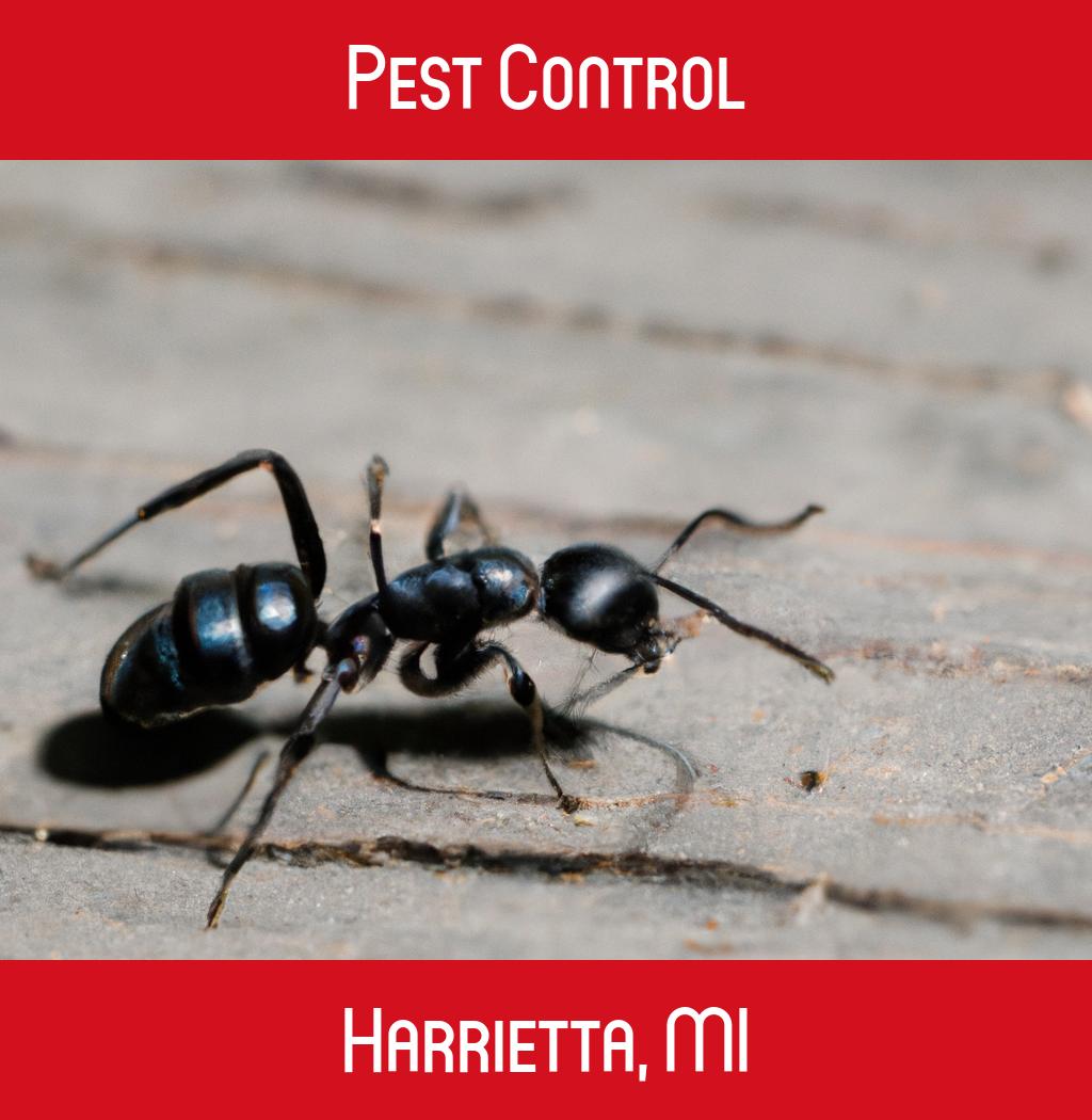 pest control in Harrietta Michigan