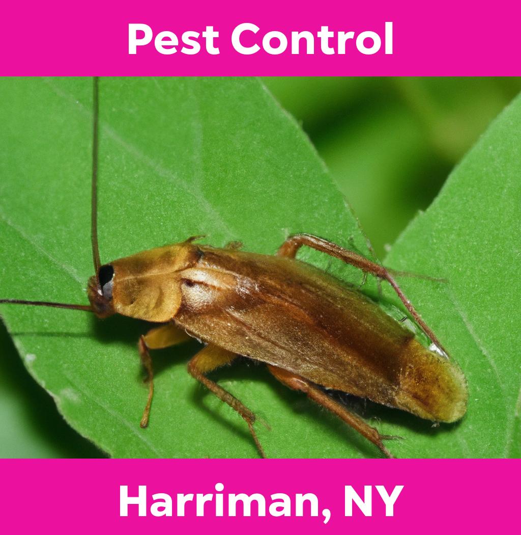 pest control in Harriman New York