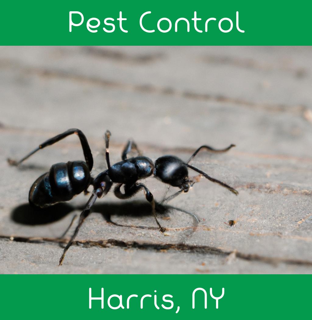 pest control in Harris New York