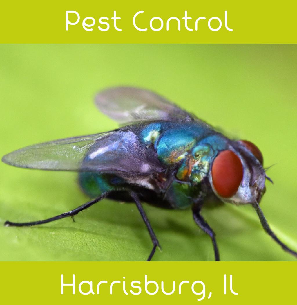 pest control in Harrisburg Illinois
