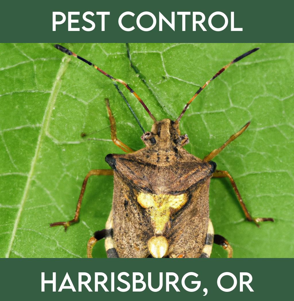 pest control in Harrisburg Oregon