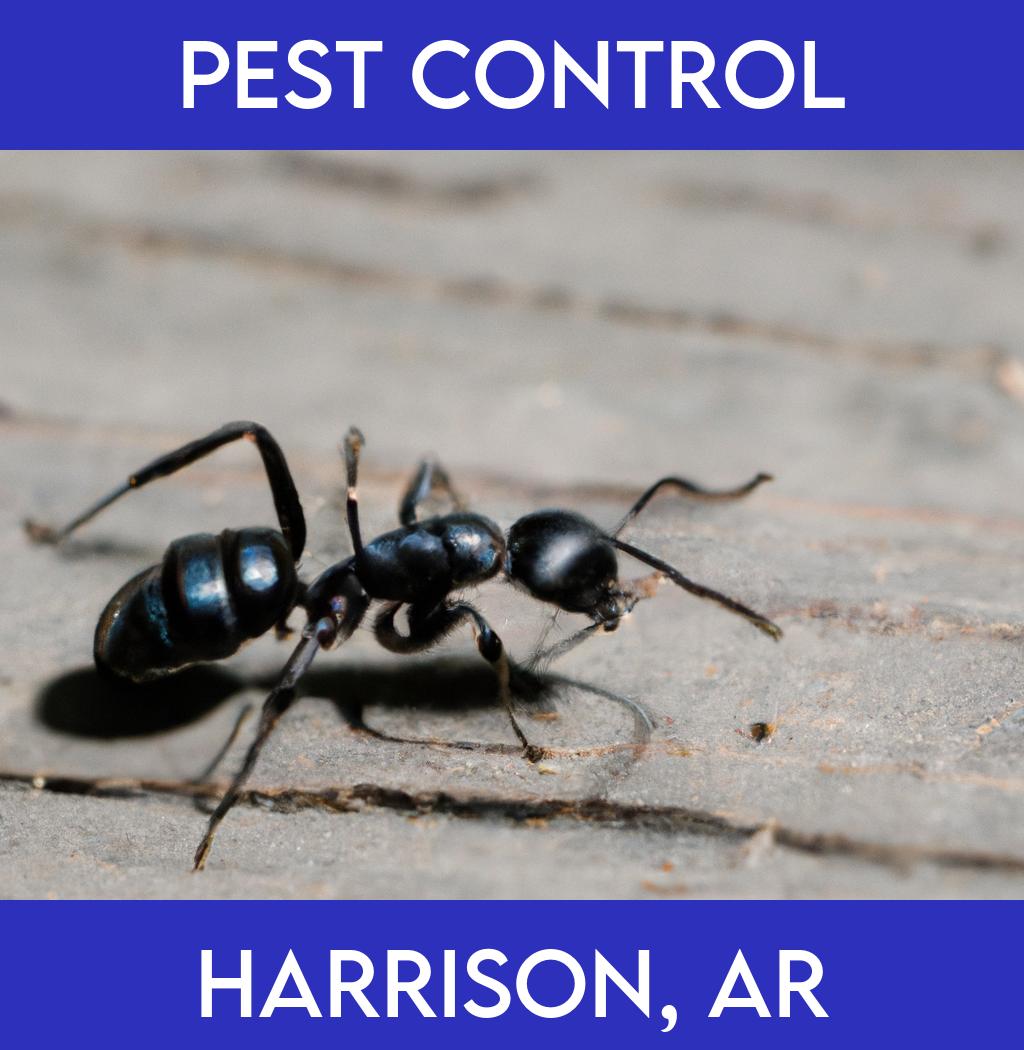 pest control in Harrison Arkansas