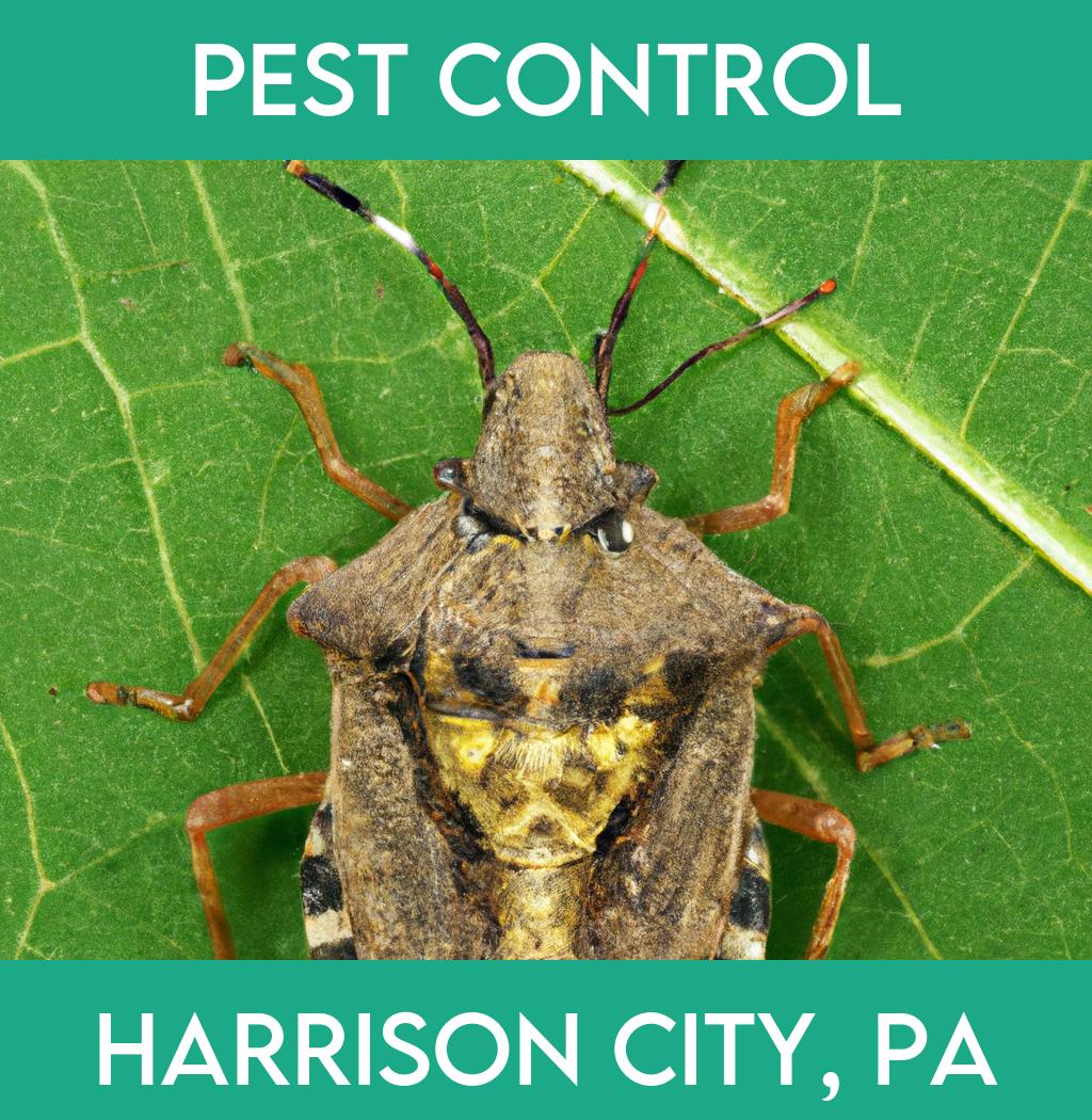 pest control in Harrison City Pennsylvania