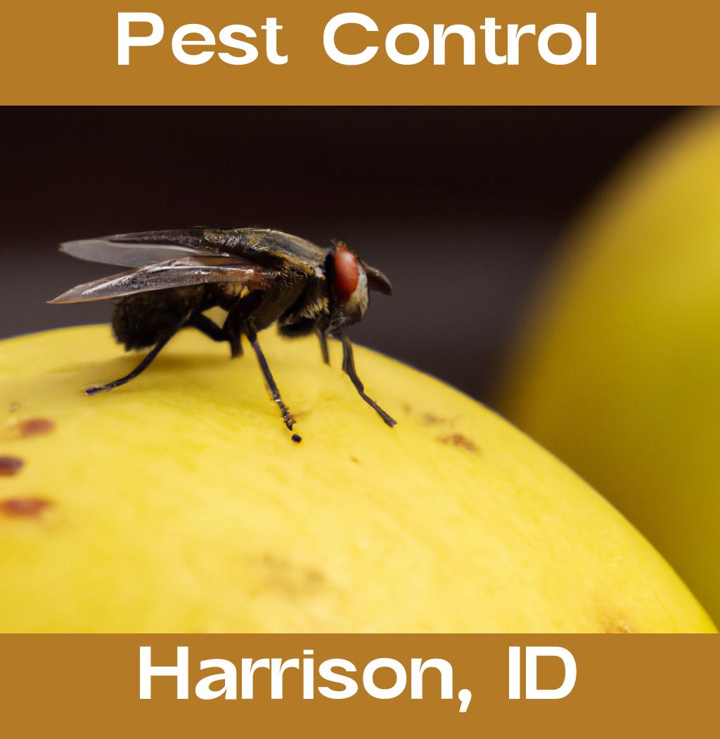 pest control in Harrison Idaho
