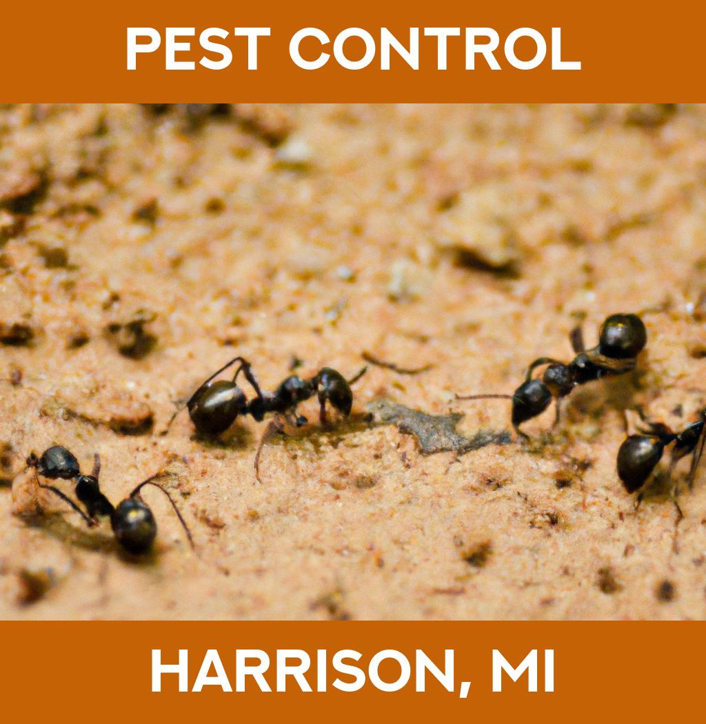 pest control in Harrison Michigan