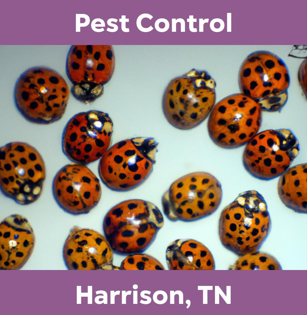 pest control in Harrison Tennessee