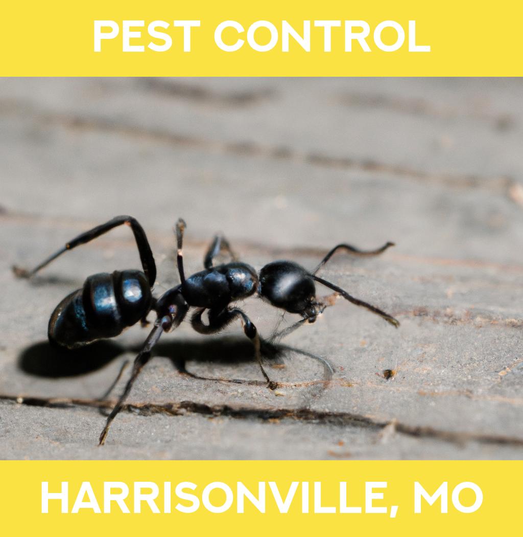 pest control in Harrisonville Missouri