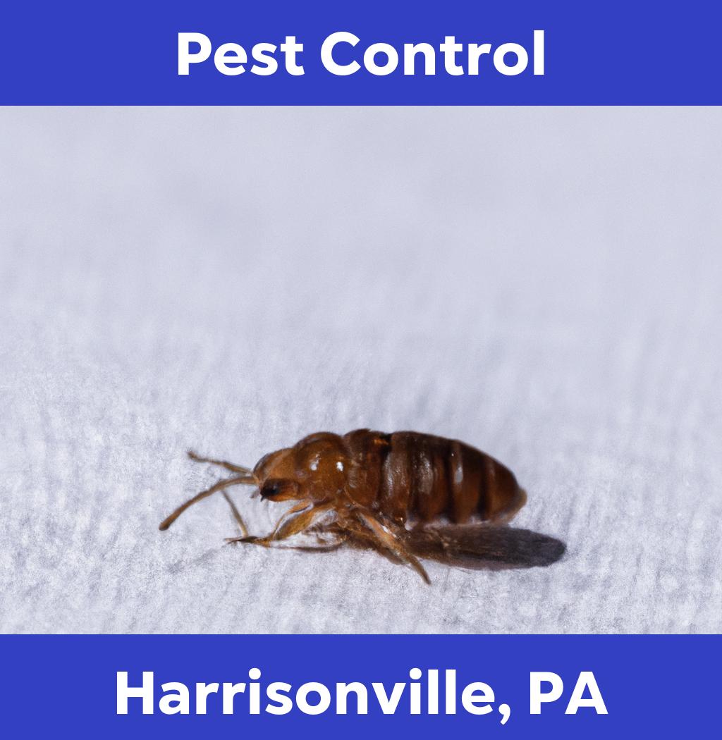 pest control in Harrisonville Pennsylvania
