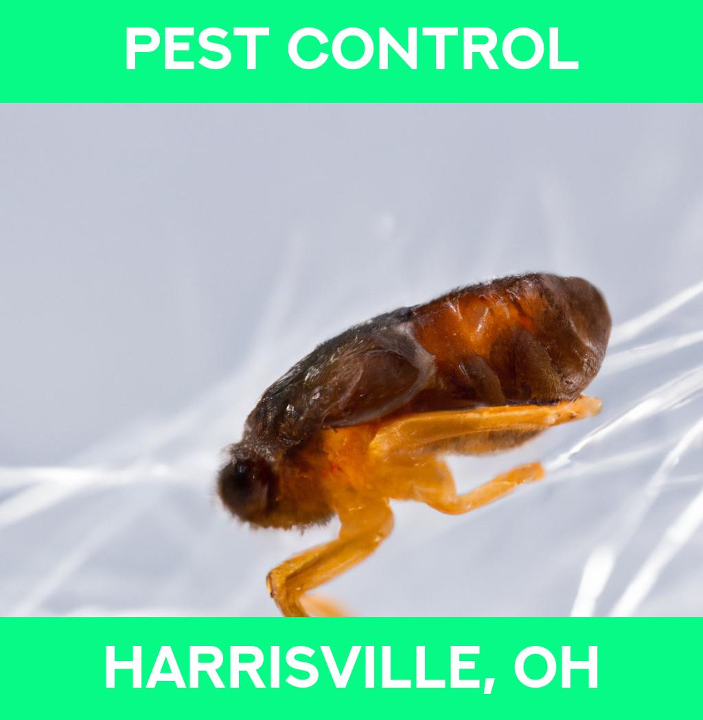 pest control in Harrisville Ohio
