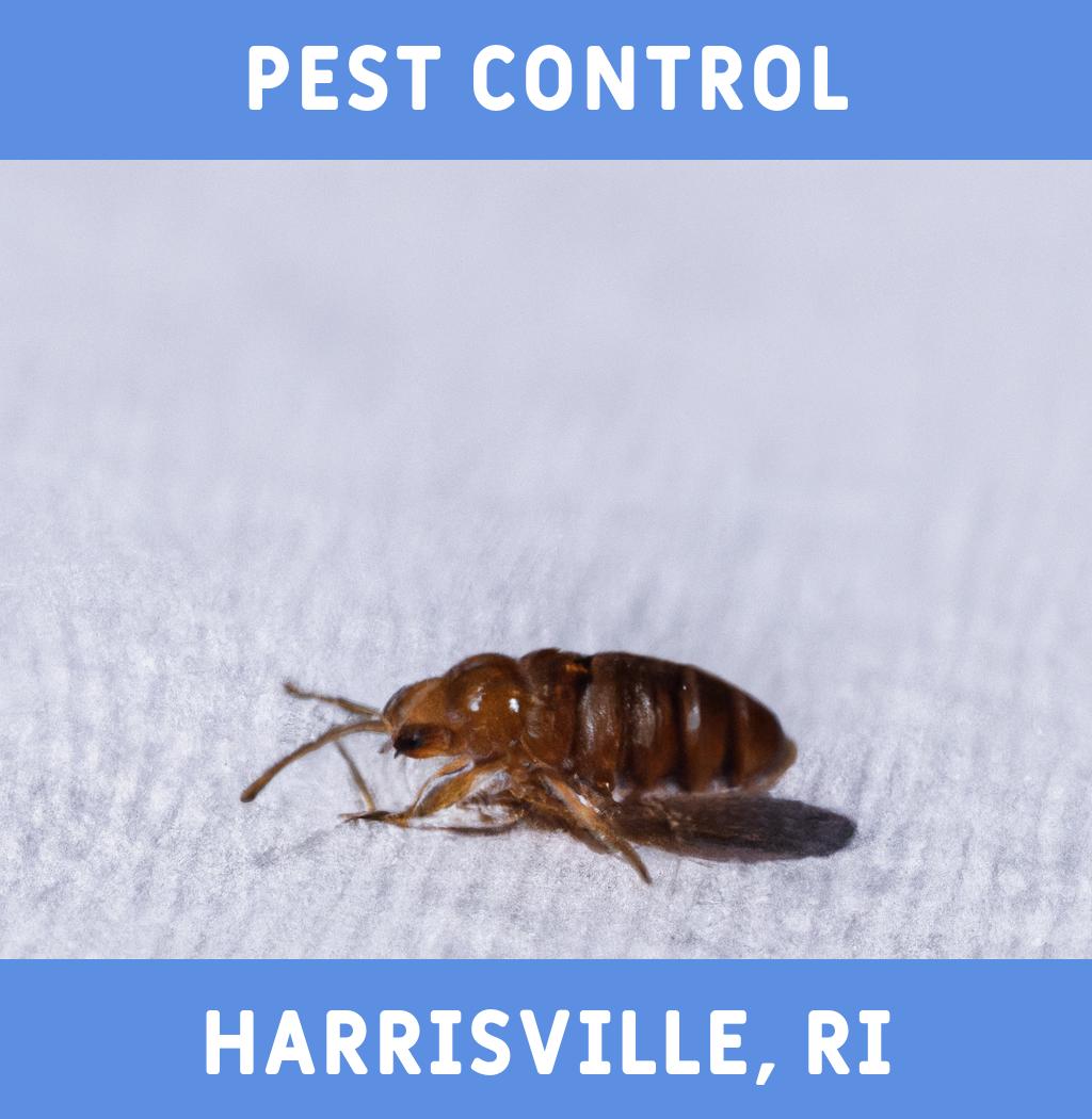 pest control in Harrisville Rhode Island
