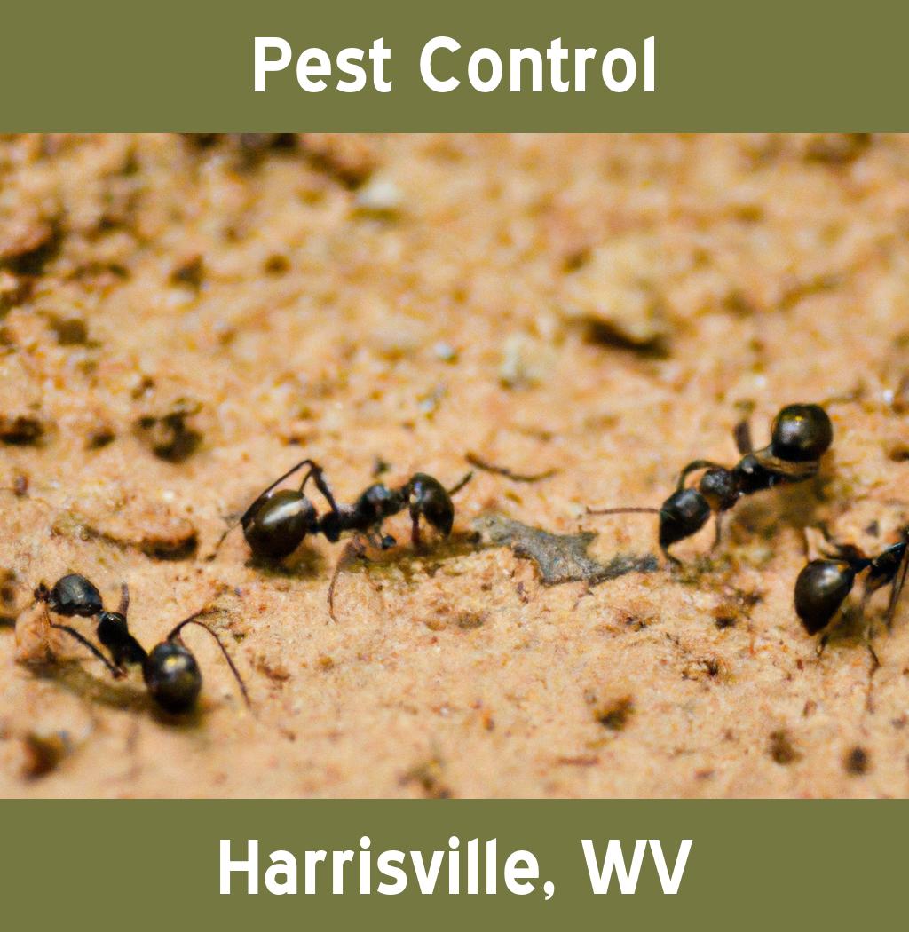 pest control in Harrisville West Virginia