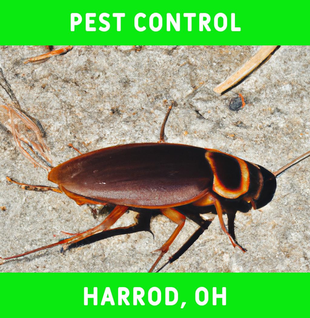 pest control in Harrod Ohio