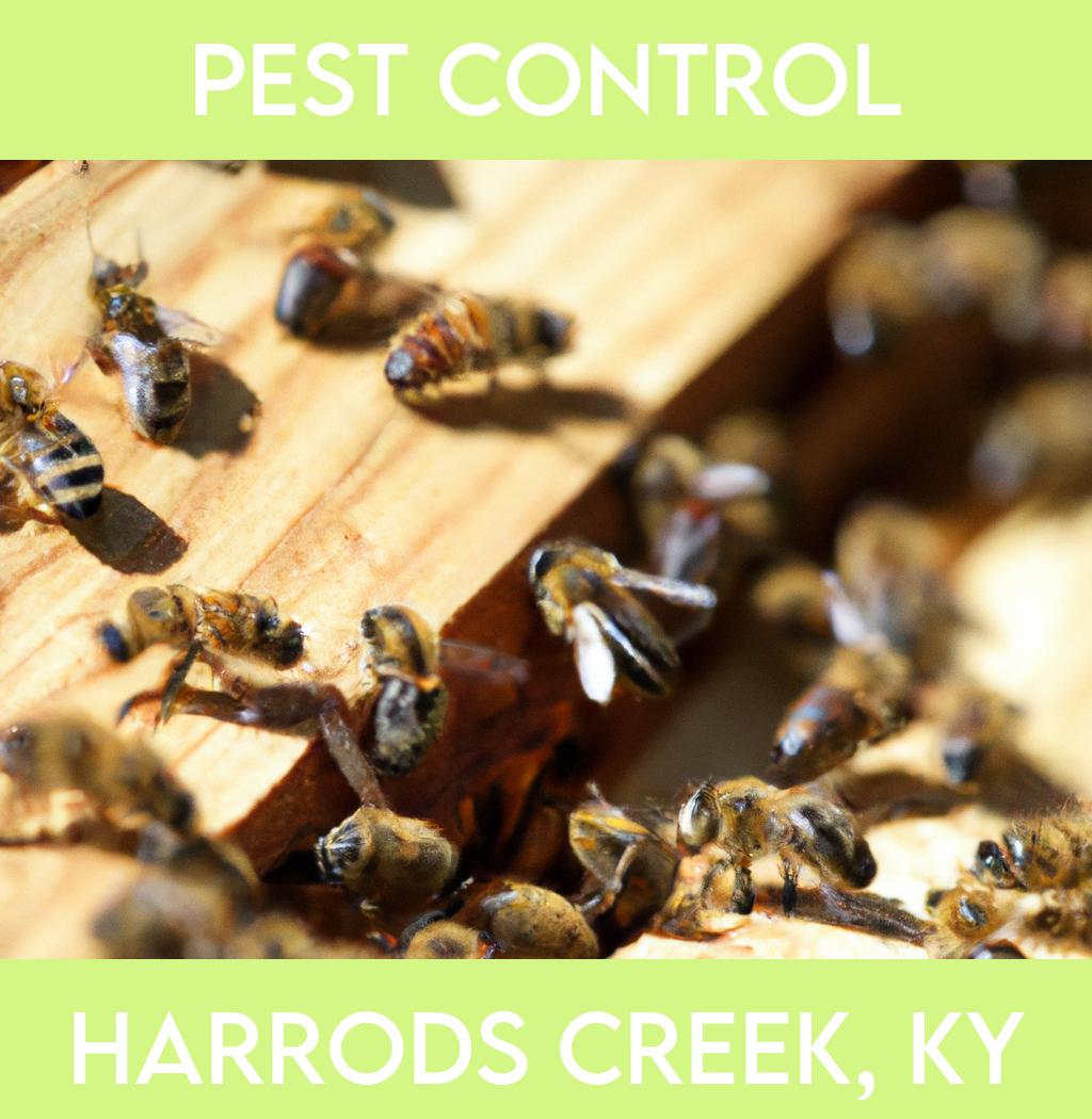 pest control in Harrods Creek Kentucky