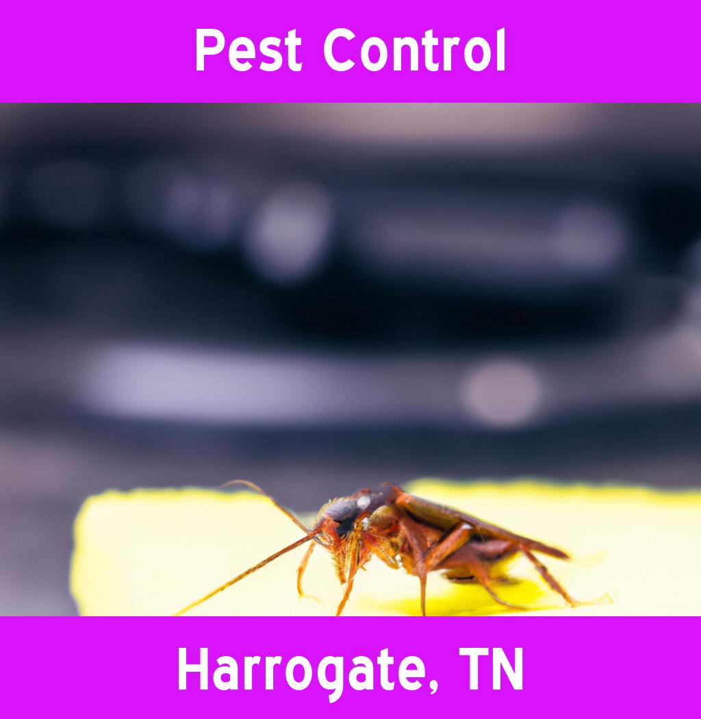 pest control in Harrogate Tennessee