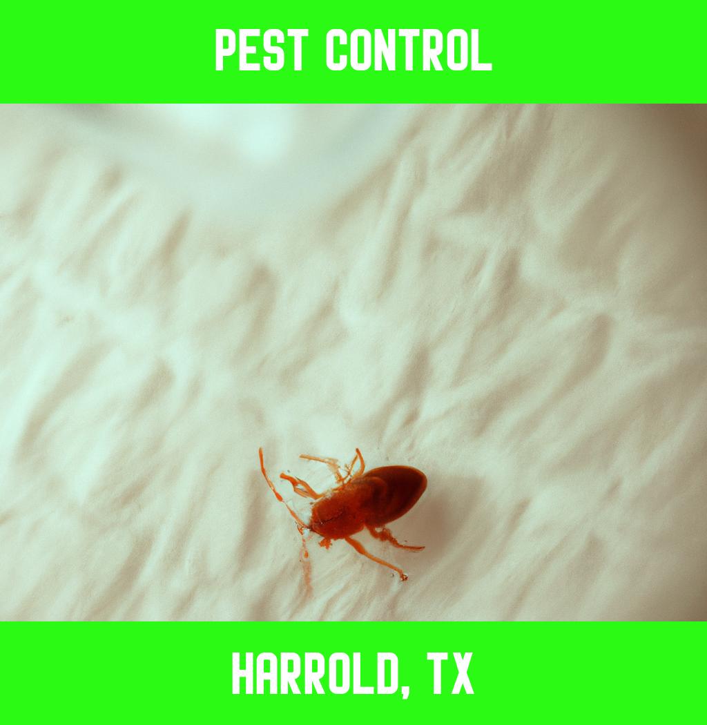 pest control in Harrold Texas