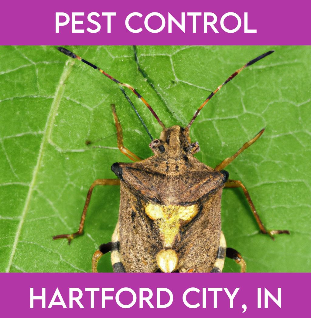 pest control in Hartford City Indiana