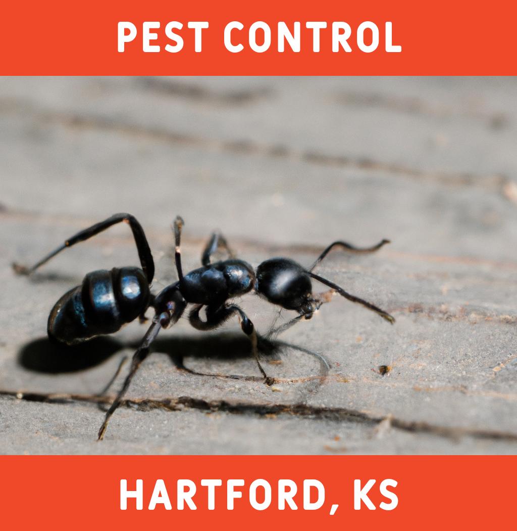 pest control in Hartford Kansas