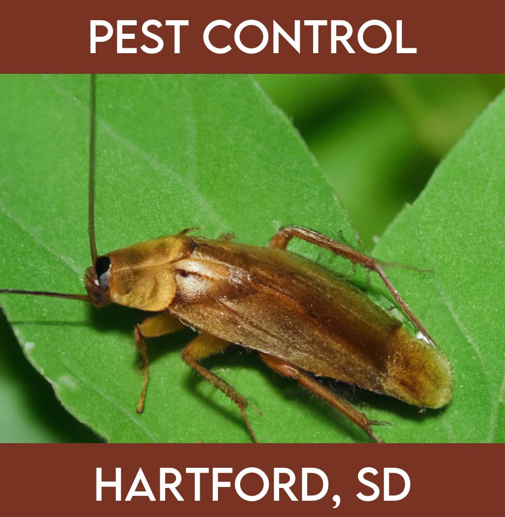 pest control in Hartford South Dakota