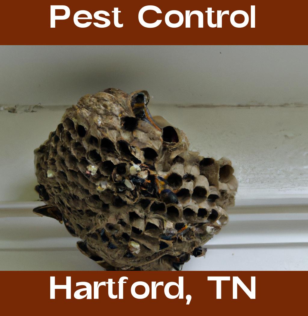 pest control in Hartford Tennessee