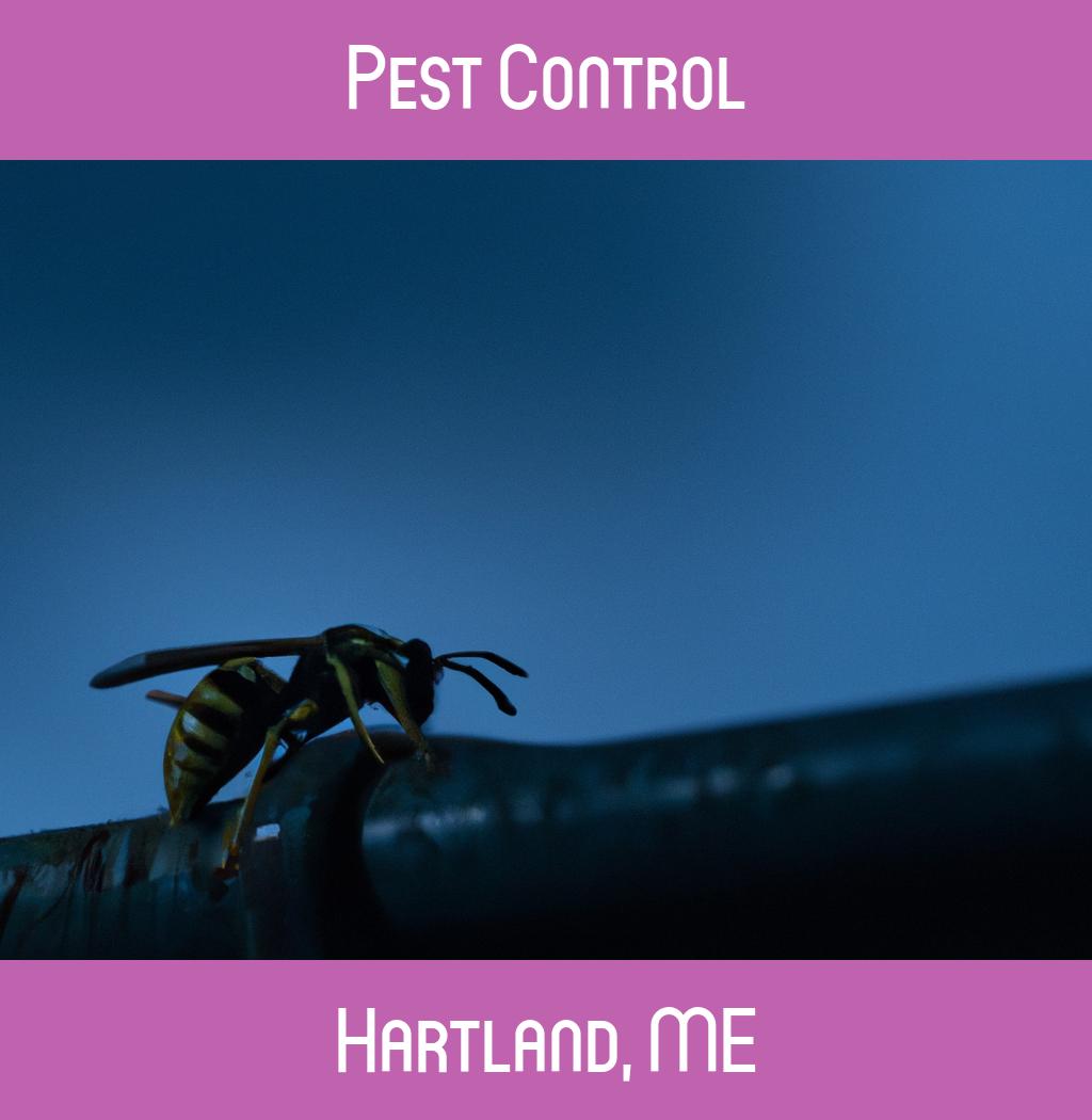 pest control in Hartland Maine