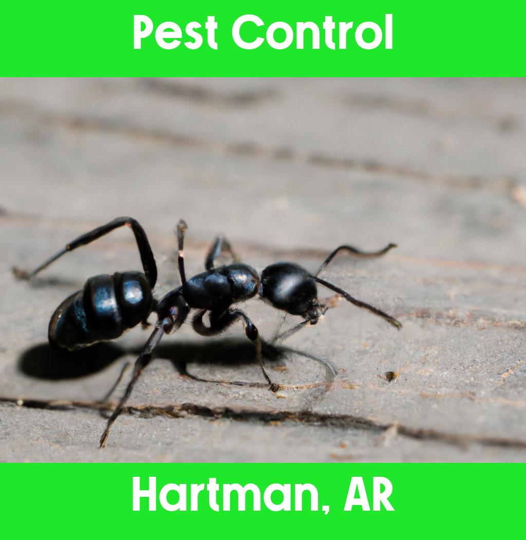 pest control in Hartman Arkansas