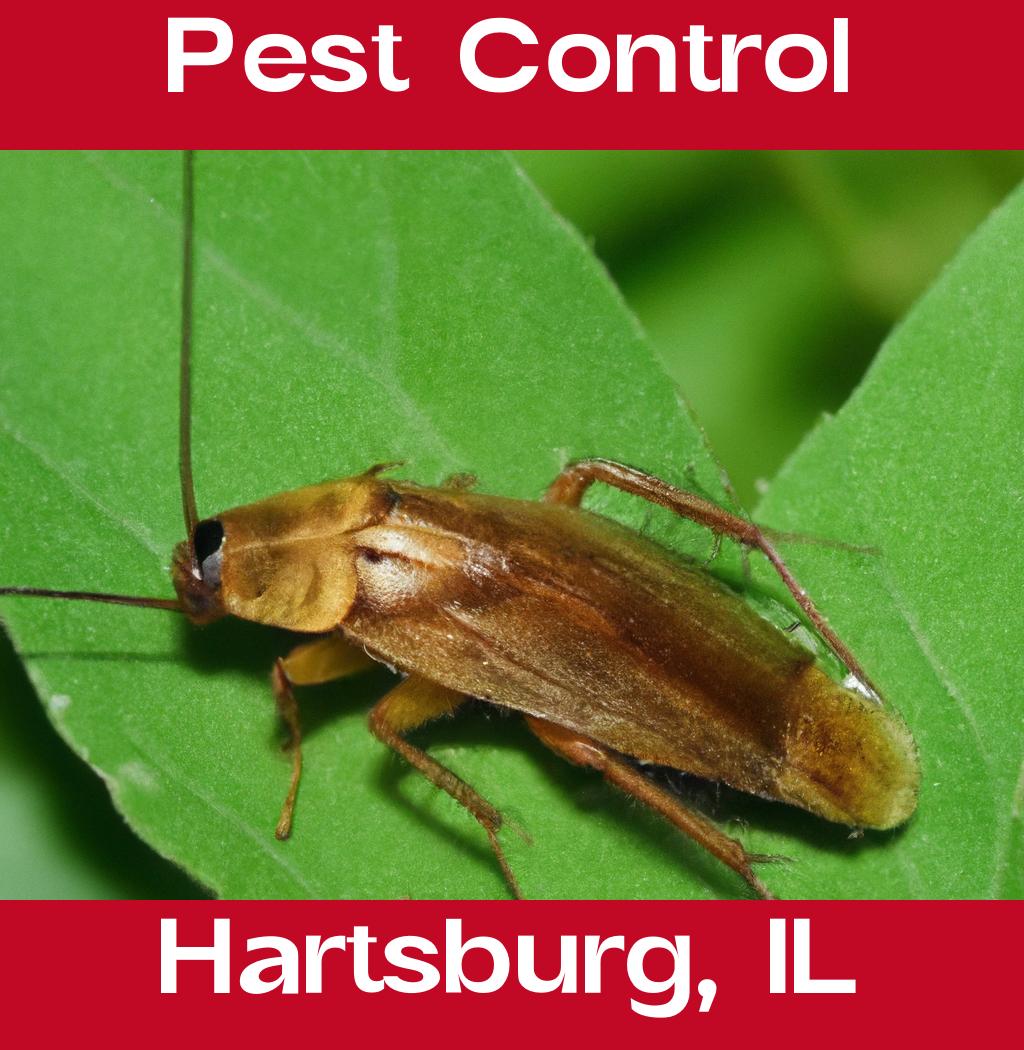 pest control in Hartsburg Illinois