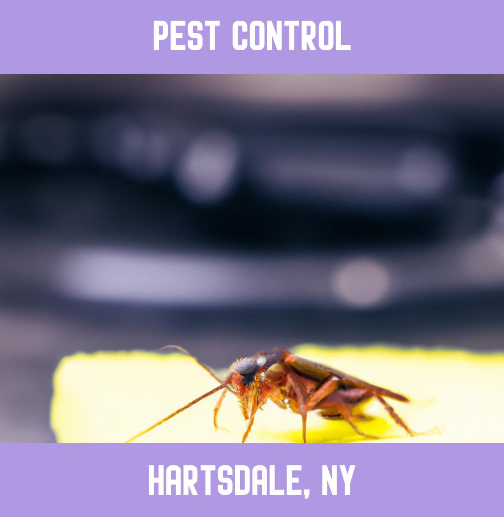 pest control in Hartsdale New York