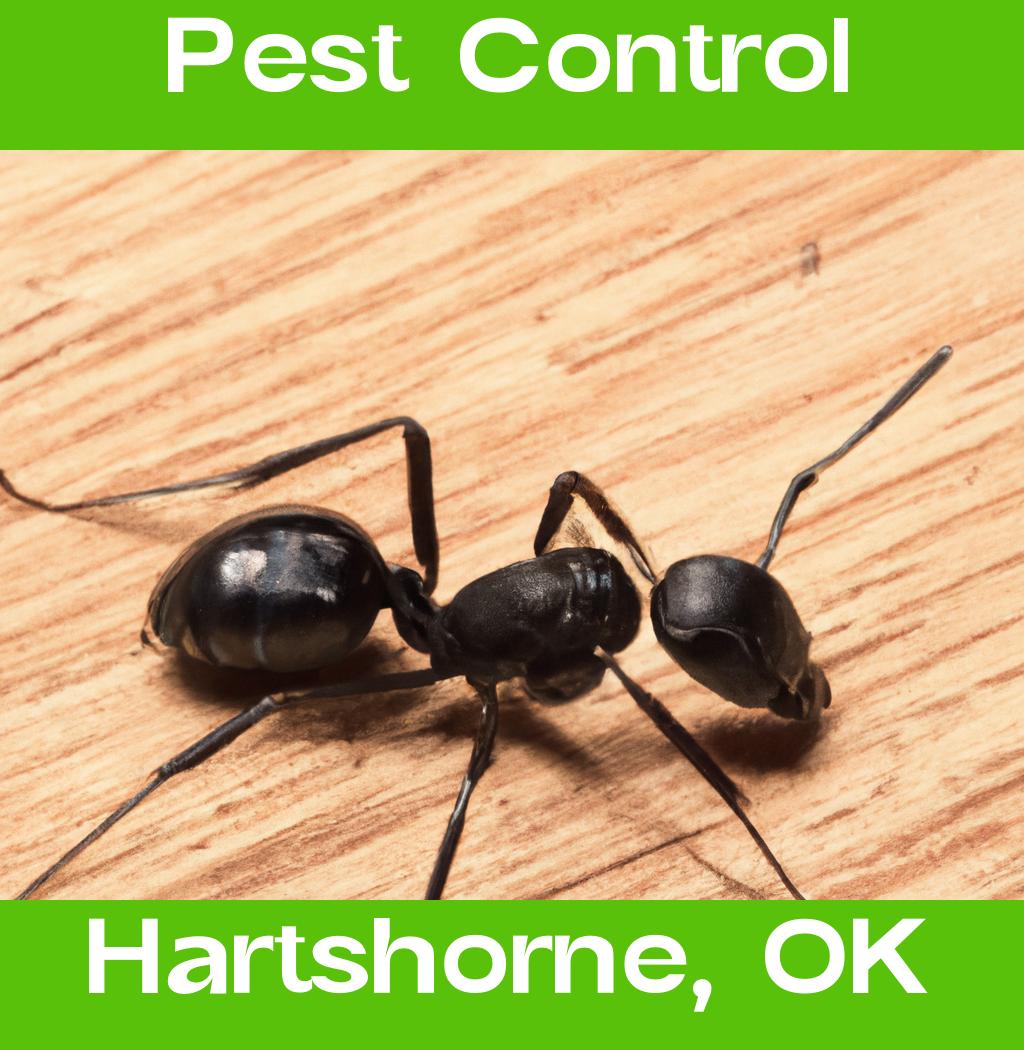 pest control in Hartshorne Oklahoma