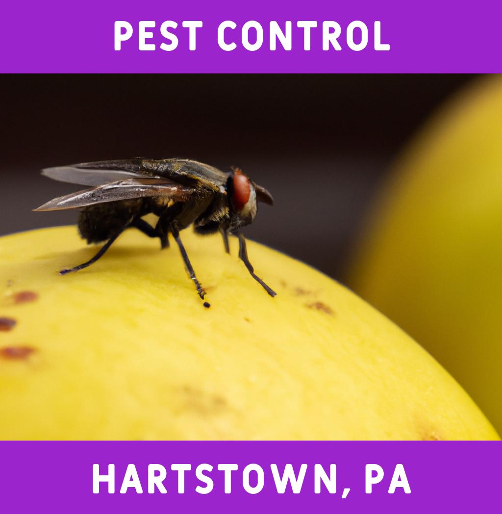 pest control in Hartstown Pennsylvania