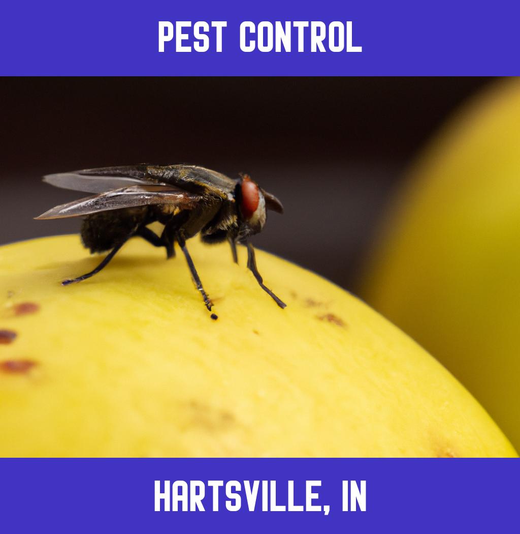 pest control in Hartsville Indiana