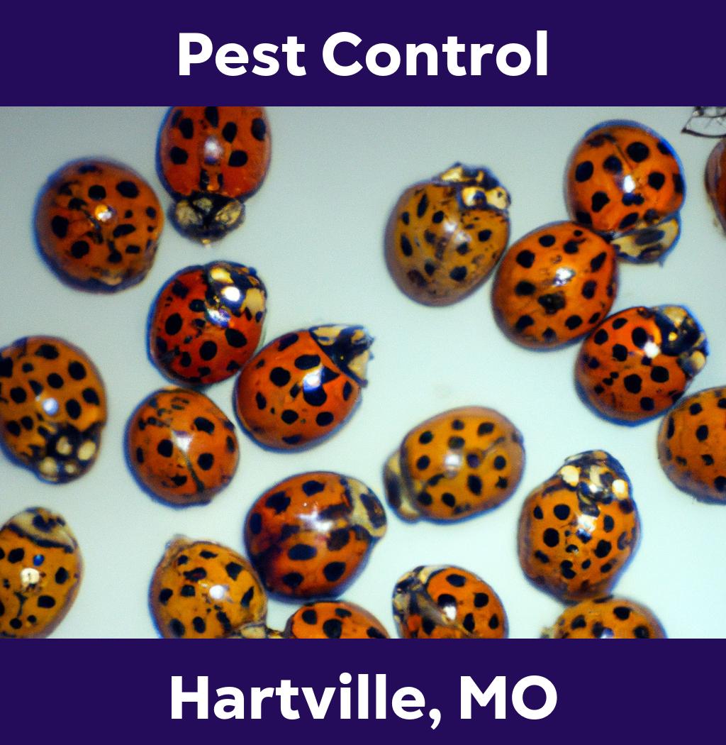 pest control in Hartville Missouri