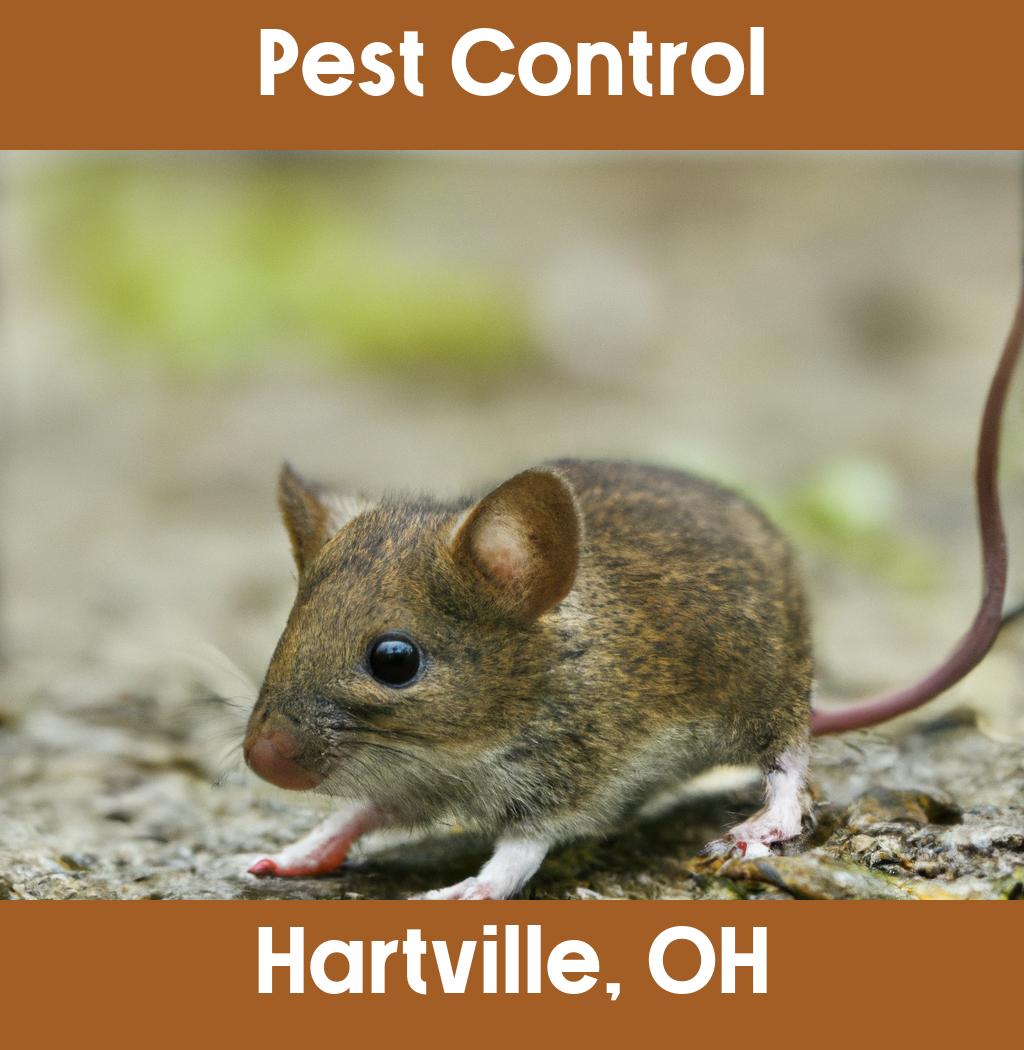 pest control in Hartville Ohio