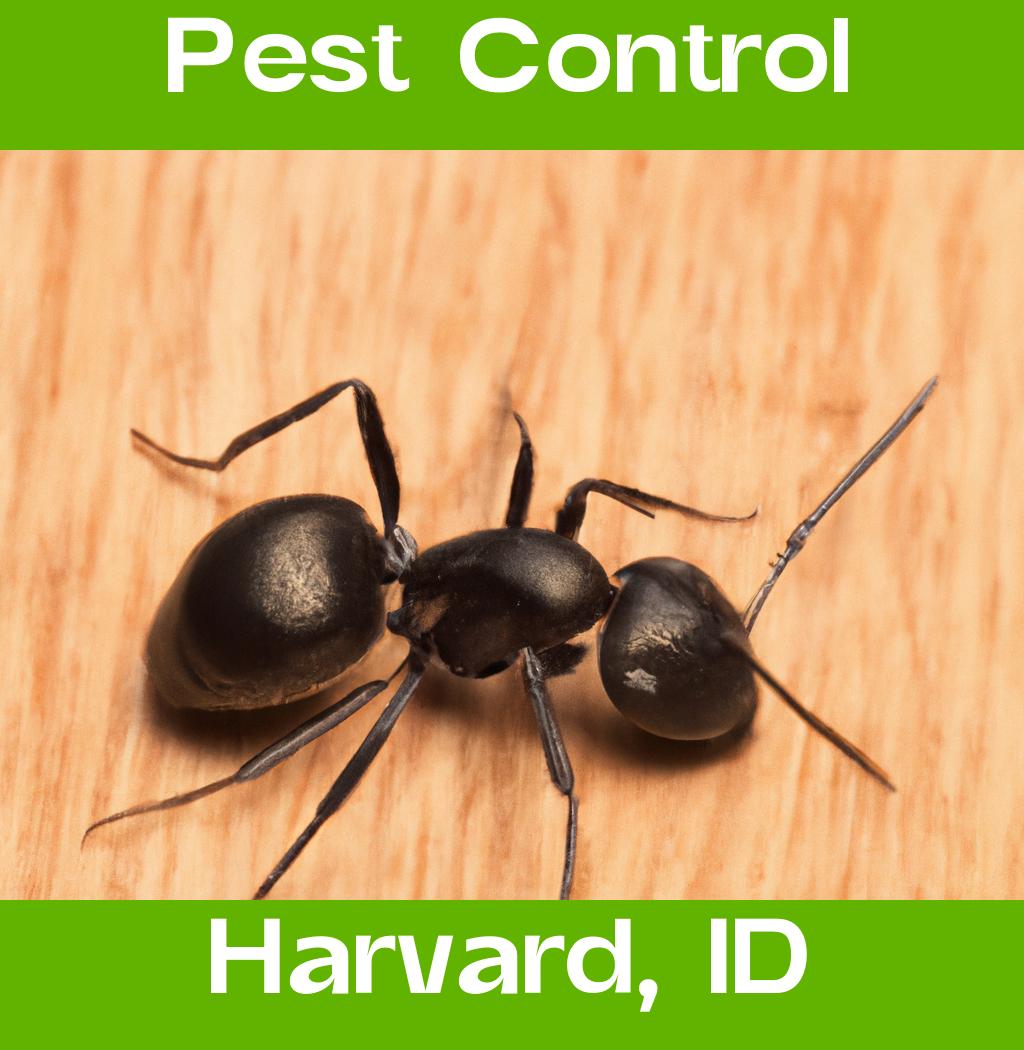 pest control in Harvard Idaho