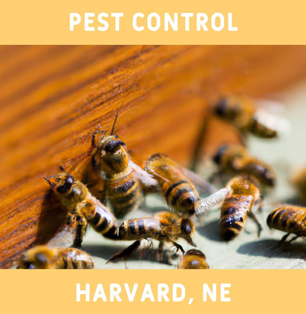 pest control in Harvard Nebraska