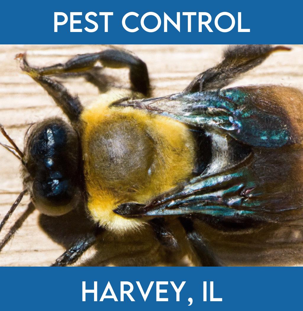 pest control in Harvey Illinois