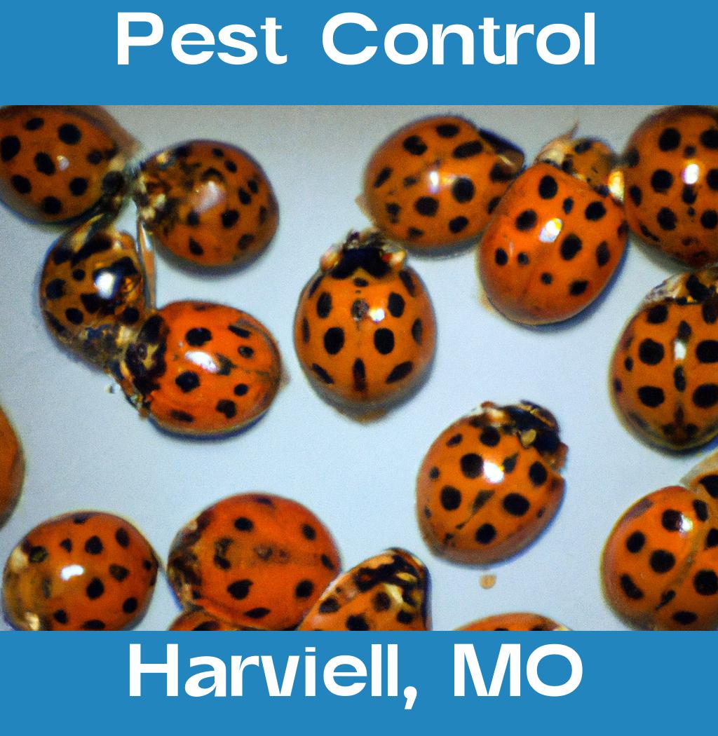 pest control in Harviell Missouri