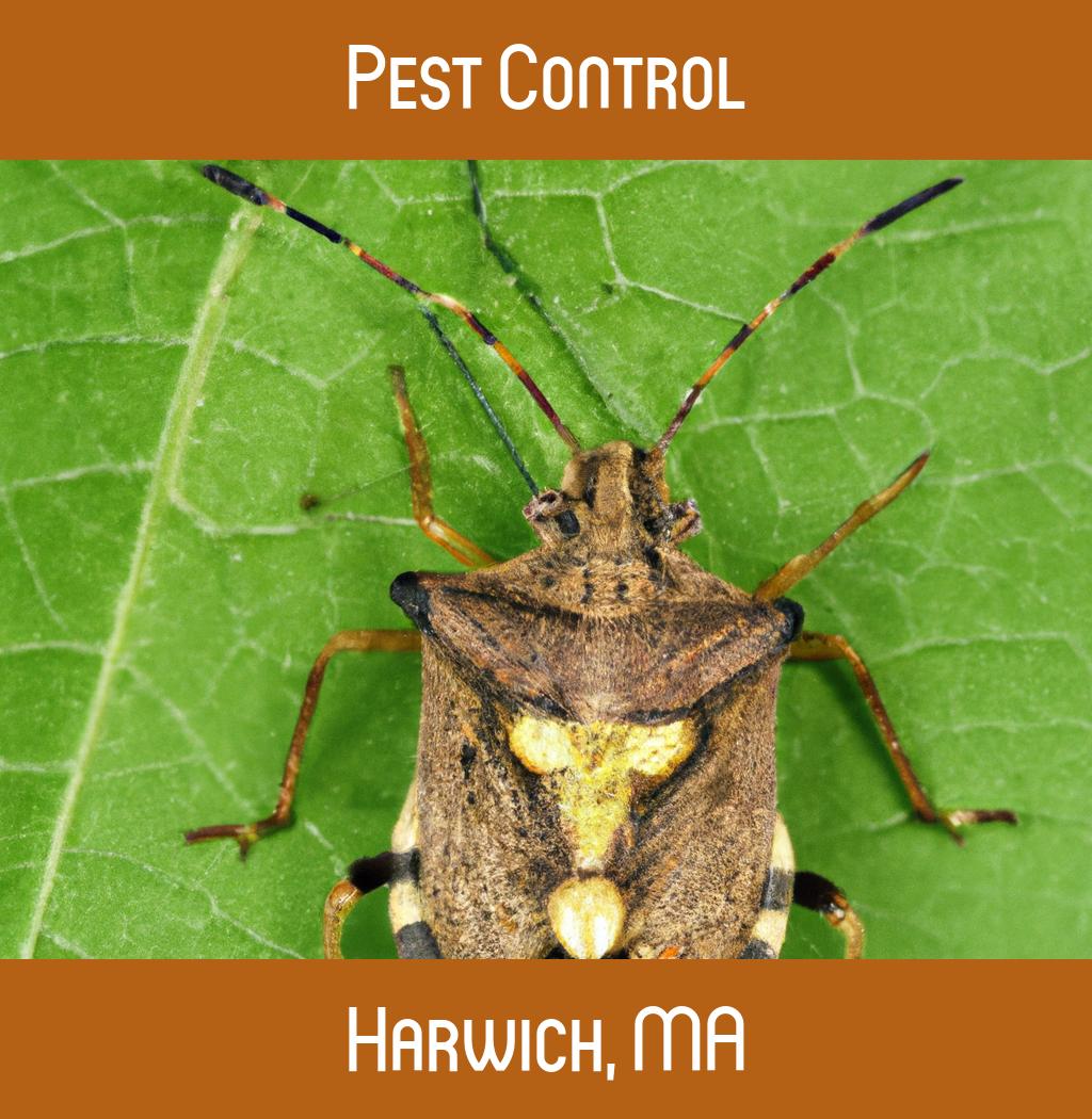pest control in Harwich Massachusetts