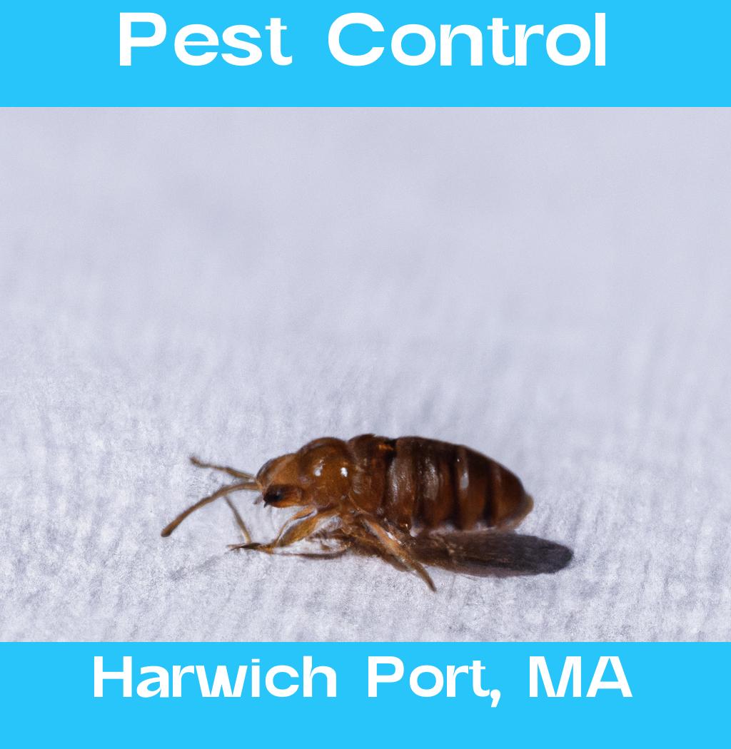 pest control in Harwich Port Massachusetts