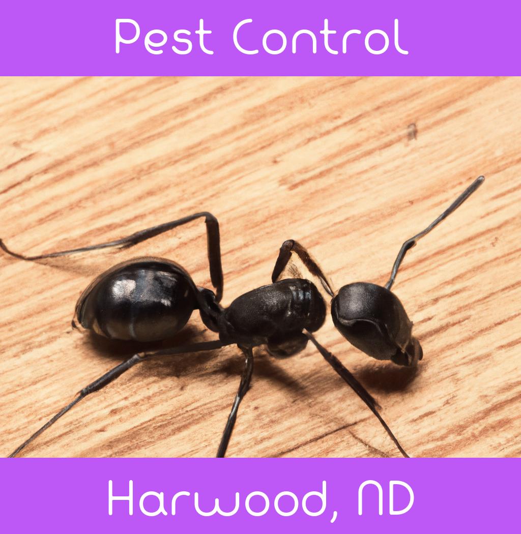 pest control in Harwood North Dakota