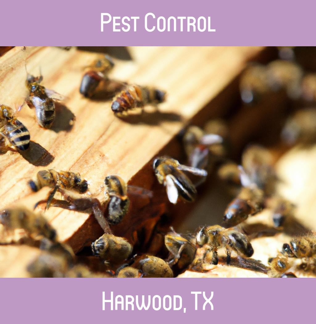 pest control in Harwood Texas