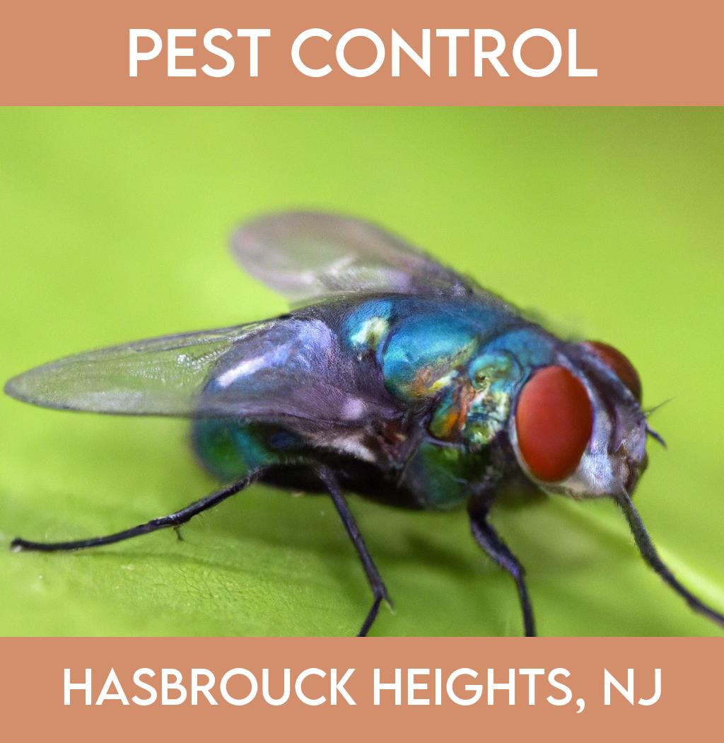 pest control in Hasbrouck Heights New Jersey