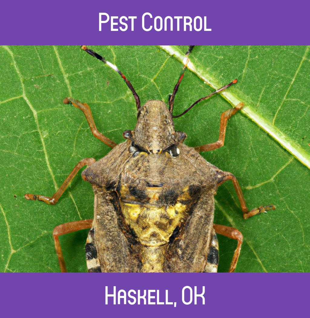 pest control in Haskell Oklahoma