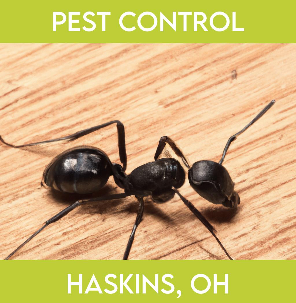 pest control in Haskins Ohio