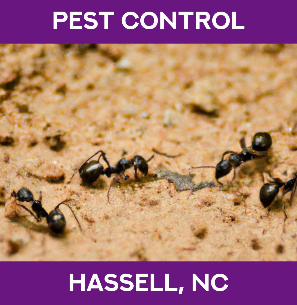 pest control in Hassell North Carolina