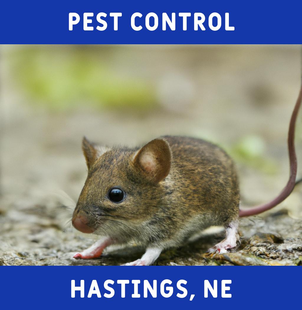 pest control in Hastings Nebraska