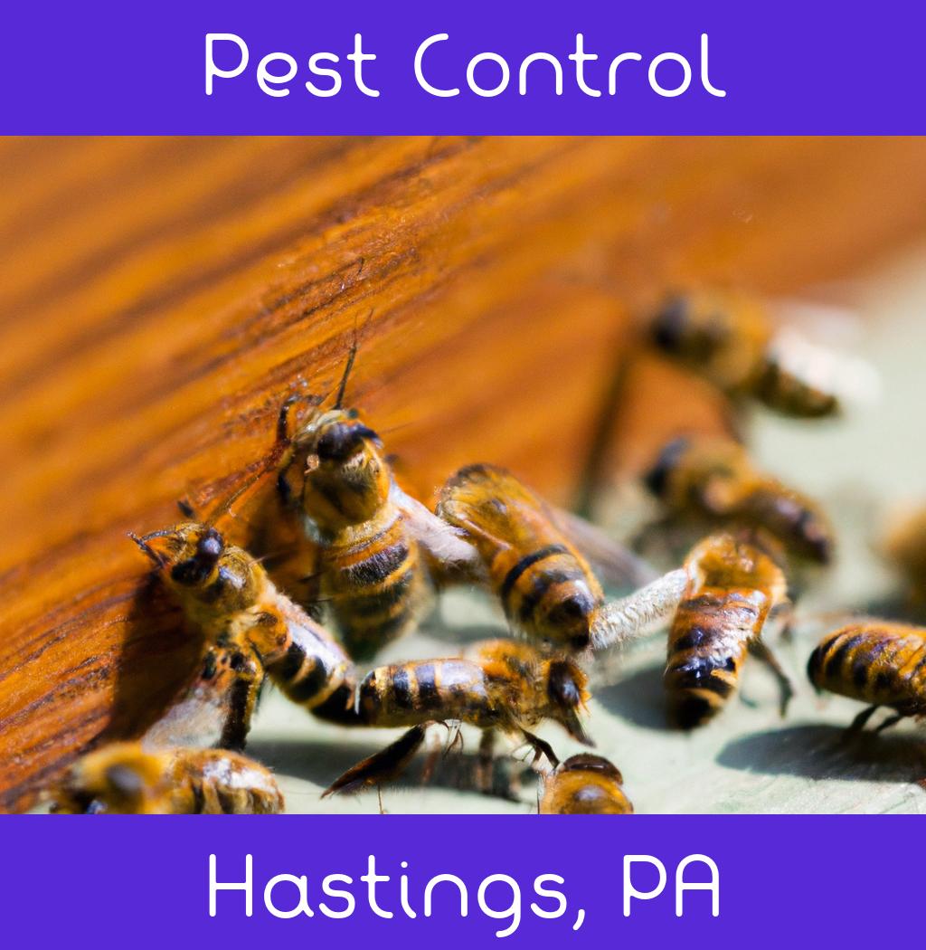 pest control in Hastings Pennsylvania