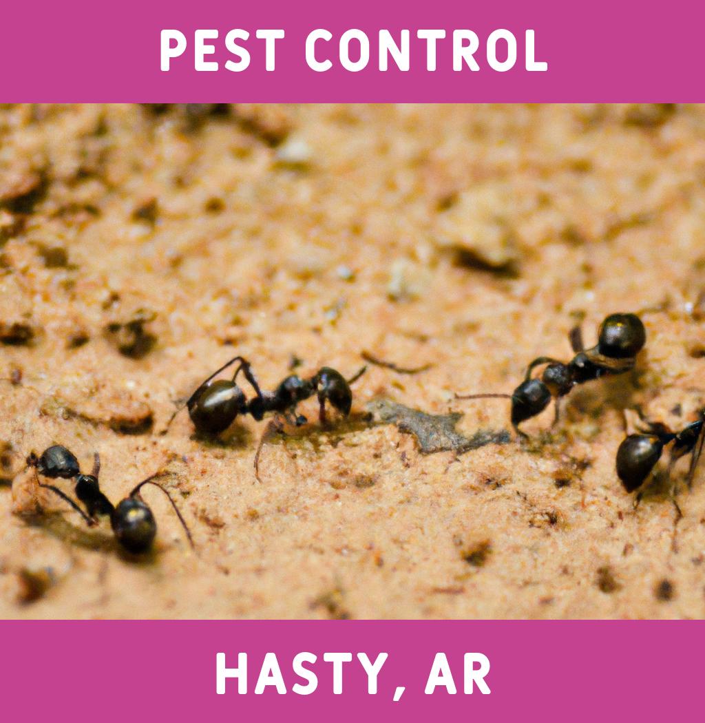 pest control in Hasty Arkansas